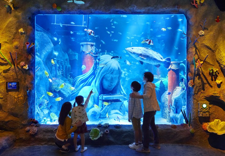 ウミガメやきれいな色の魚、サメがいる竜宮城ゾーン