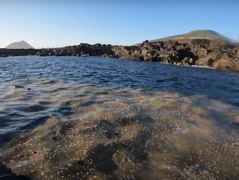 【動画あり】小笠原諸島の軽石、八丈島でも確認される！現地の状況は？