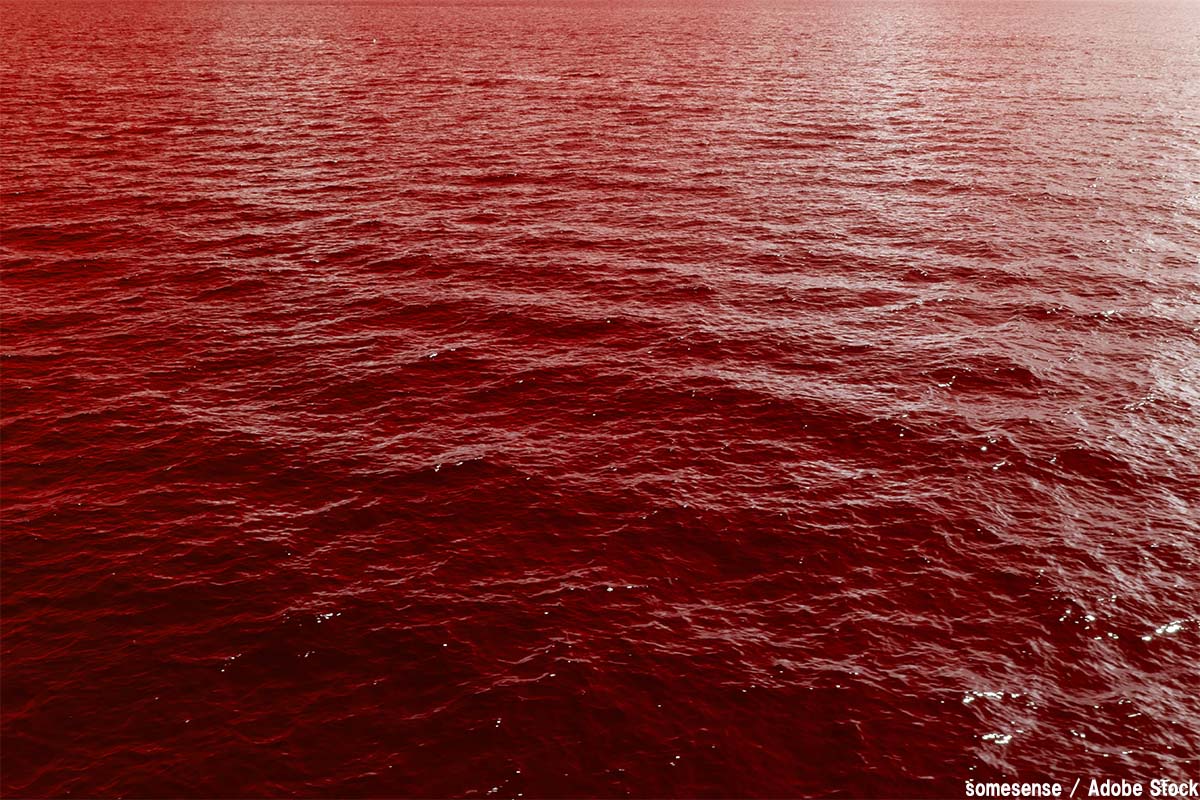 エヴァの海はなぜ赤い？