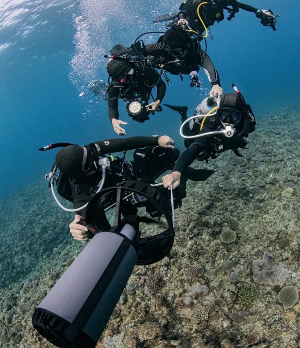 世界を目指す！各地のプロダイバーが集まった若手水中撮影チーム「CONTRAST（コントラスト）」の活動、想いに迫る