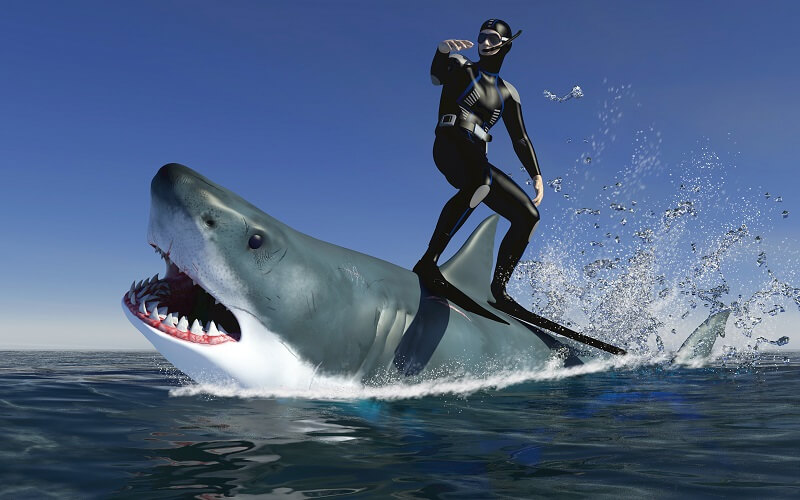 サメに乗っているイメージ