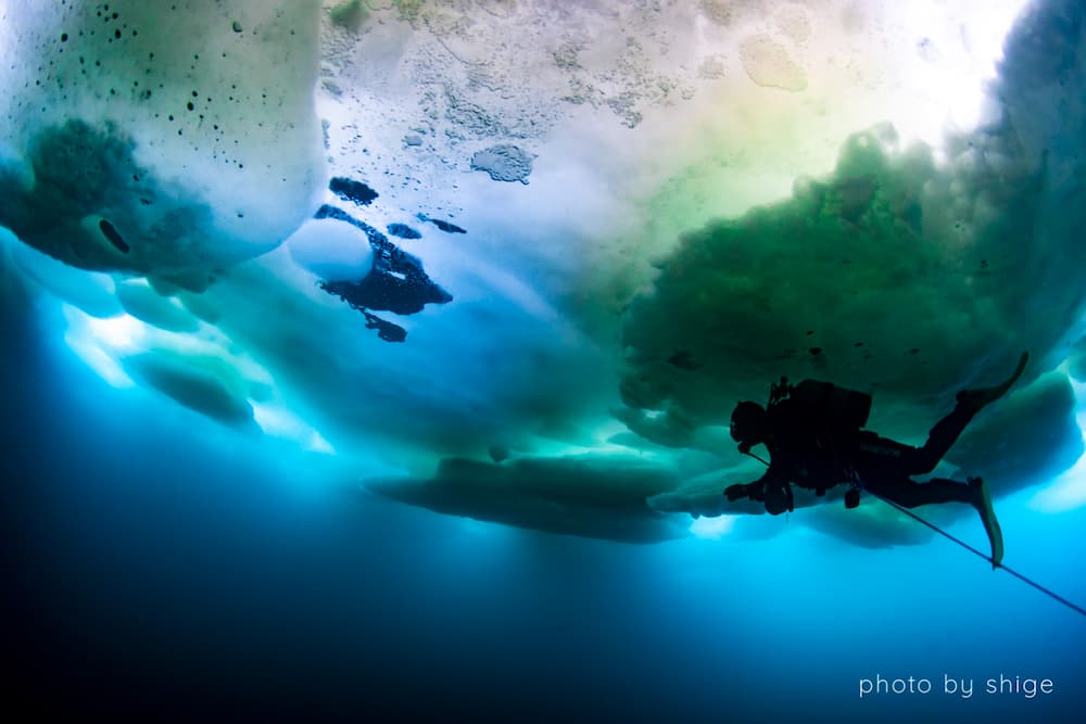 水中写真家・茂野優太が１ヶ月の流氷ガイド＆撮影に挑戦！　その理由とは⁉
