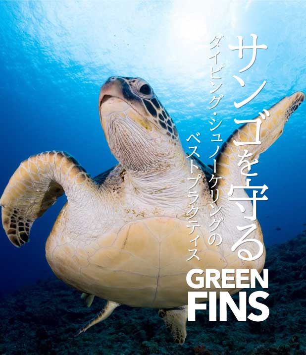 サンゴを守るダイビング・シュノーケリングのベストプラクティス「Green Fins」