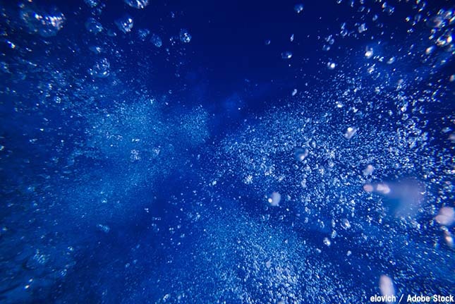 酸素を作る海のバクテリアがプラスチックの犠牲に