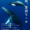 旅、素潜り＋α ~フリーダイバーと生物多様性あふれる日本の海~