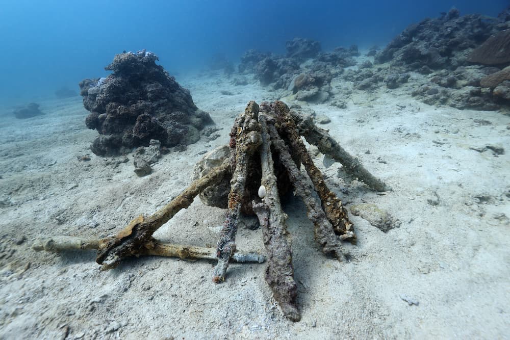 海中に眠る大量のライフル「M1ガーランド」を沖縄・残波岬沖で発見