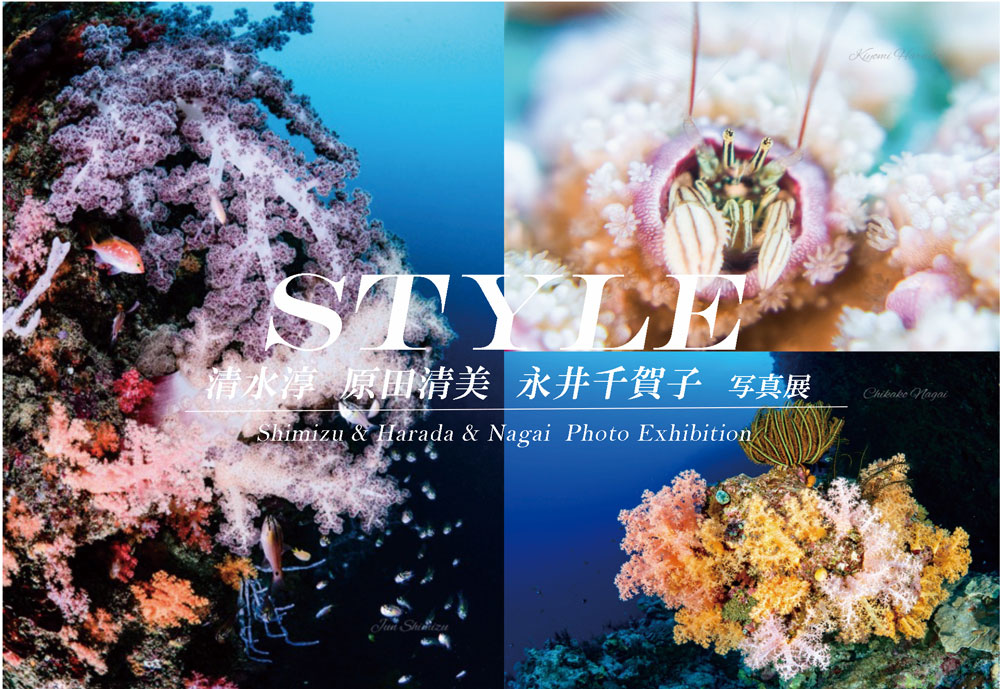 水中写真家・清水淳氏と門下生2名による水中写真作品展「STYLE」が5/27から銀座で開催！