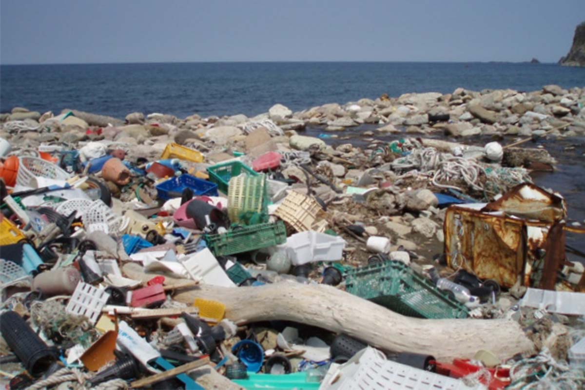 プラスチック社会への提言。30年続く「国際海岸クリーンアップ」とは？