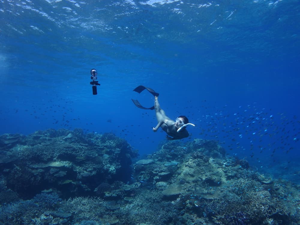 イルカを撮ったらおもしろそう♪ 360度カメラ用浮力調整器「STAYTHEE」フリーダイバー・福田朋夏試用レポート