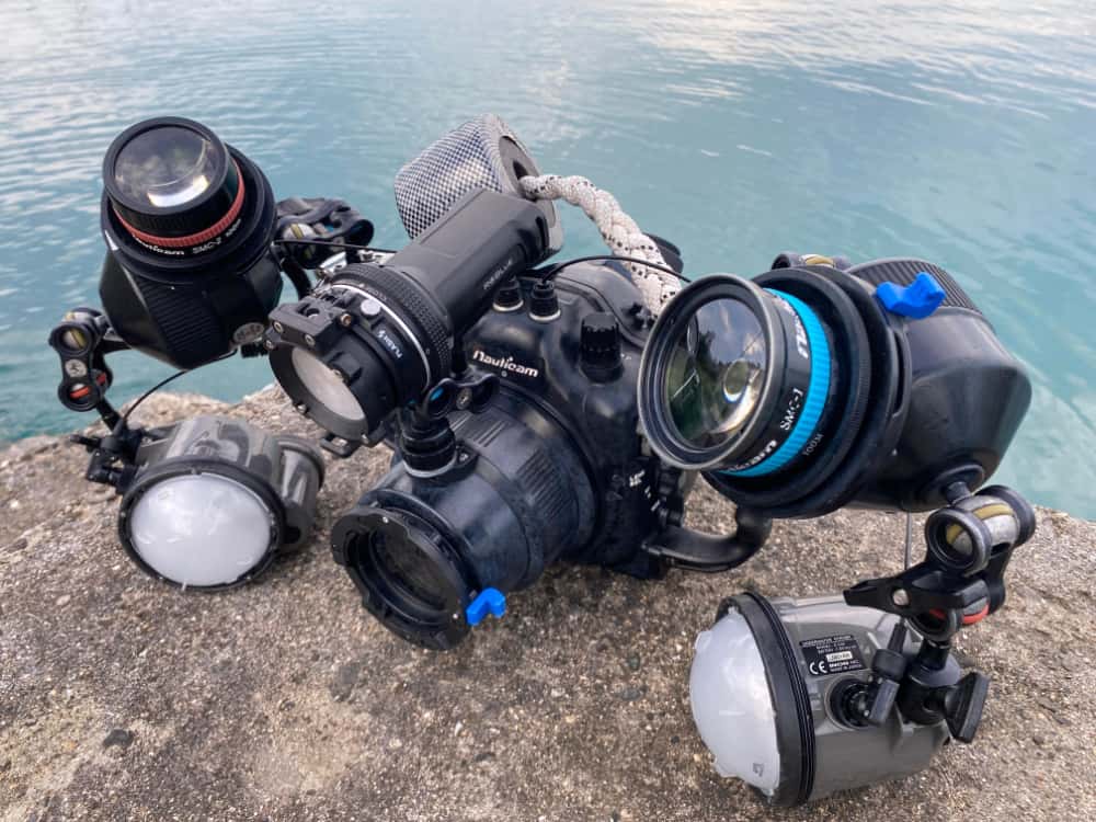 カメラ：Nikon D850 レンズ：AF-S VR Micro-Nikkor 105mm f/2.8G IF-ED ハウジング：Nauticam NA D850 ストロボ：Z-330×２灯 ライト：RGBlue  SYSTEM01:re SUPER-NATURAL COLOR