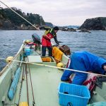 石巻市で11月から解禁となったアワビ漁の様子