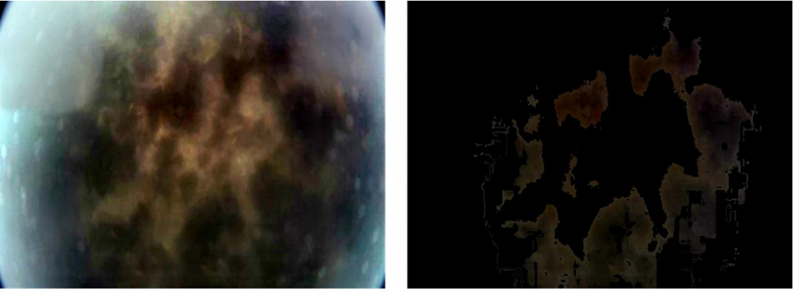 答志島沿岸の藻場（ワカメなど撮影）左の写真から赤色を抽出することで、左の写真では被度16.9%であることがわかる（写真提供：KDDI総合研究所）