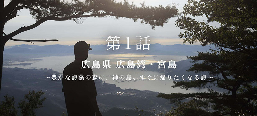ニッポンの海と文化 第1話 広島県広島湾・宮島～豊かな海藻の森に、神の島。すぐに帰りたくなる海～