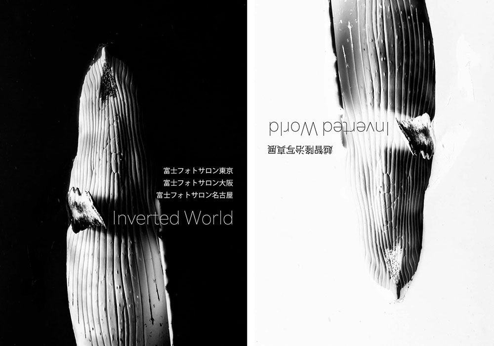 水中写真家・越智隆治写真展「Inverted World」4/28より東京で開催