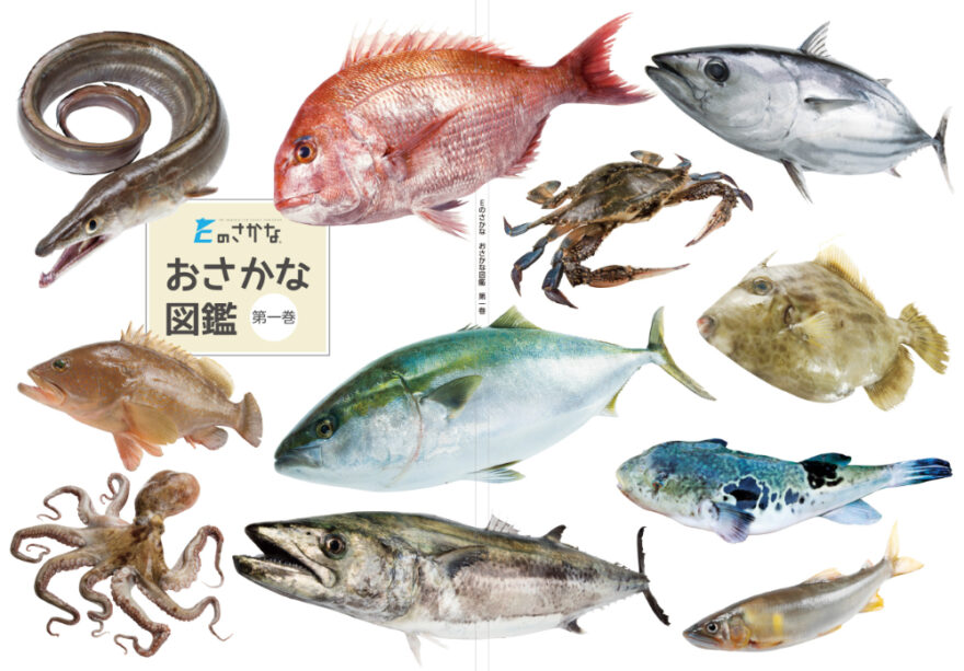 愛媛の魚食文化を発信した先に叶えたい3つのこと。【クラファン 3/22まで】