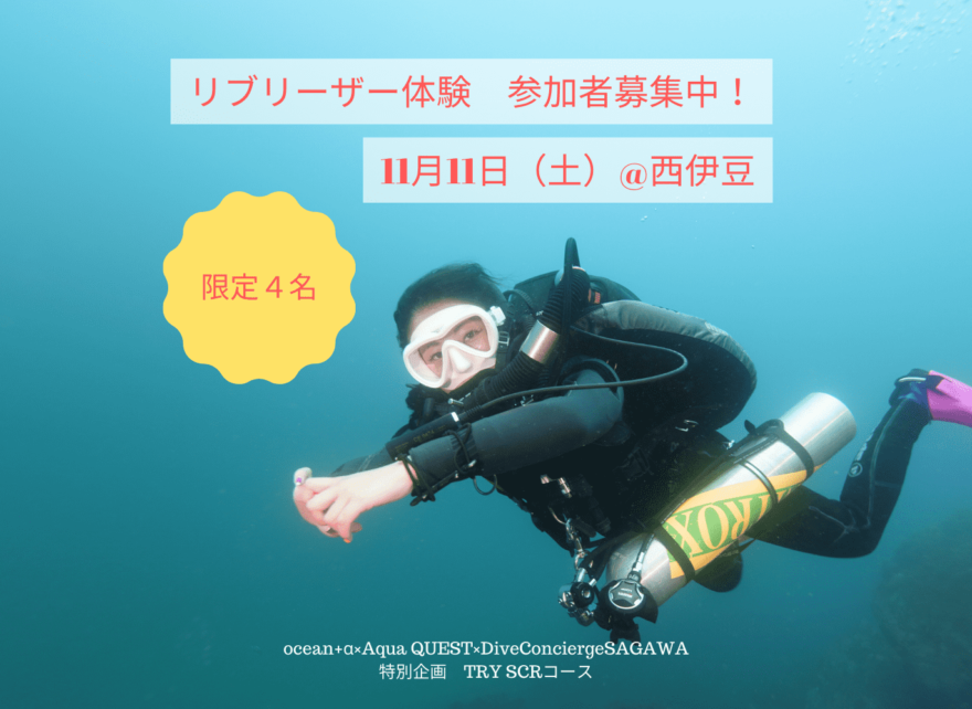【限定4名募集】リブリーザーを使ってみたいダイバー集まれ！ 11/11TRY SCRコース西伊豆で開催
