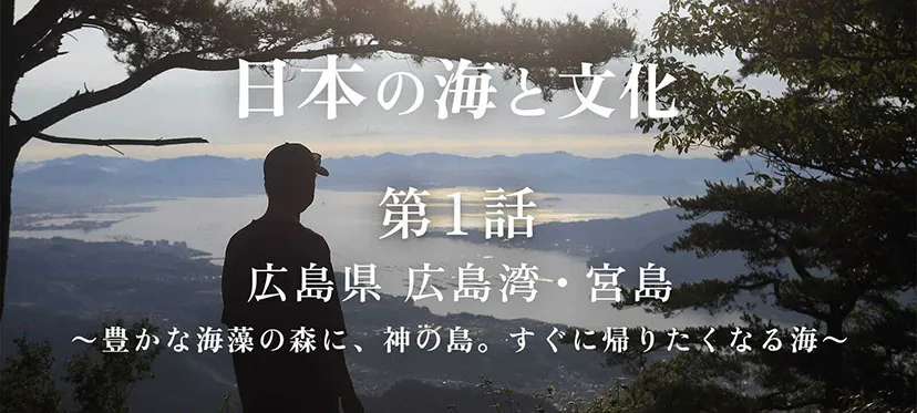 ニッポンの海と文化 第1話 広島県広島湾・宮島～豊かな海藻の森に、神の島。すぐに帰りたくなる海～