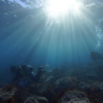 脇の浜のエントリー口付近（撮影：坪根雄大）