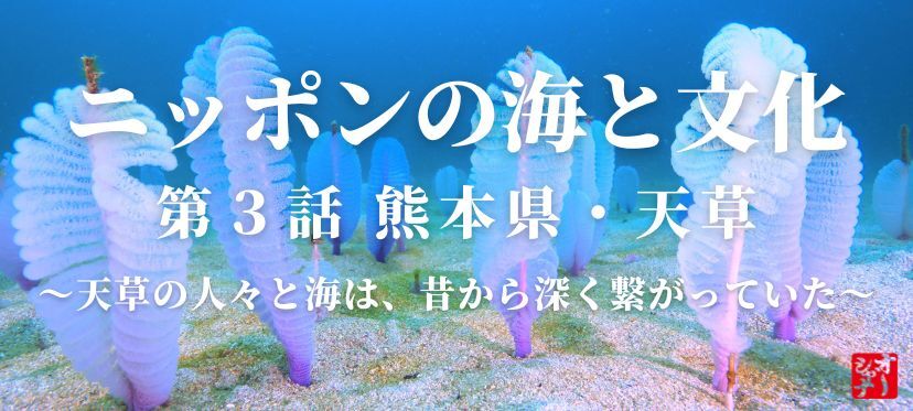ニッポンの海と文化第3話 熊本県・天草 ～天草の人々と海は、昔から深くつながっていた～