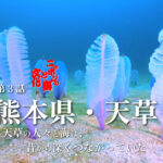 【ニッポンの海と文化　第３話】熊本県・天草　～天草の人々と海は、昔から深くつながっていた～