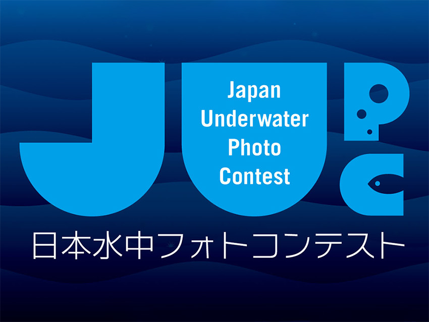 wp-content/uploads/2023/12/japan-underwater-photo-contest-interview.jpg