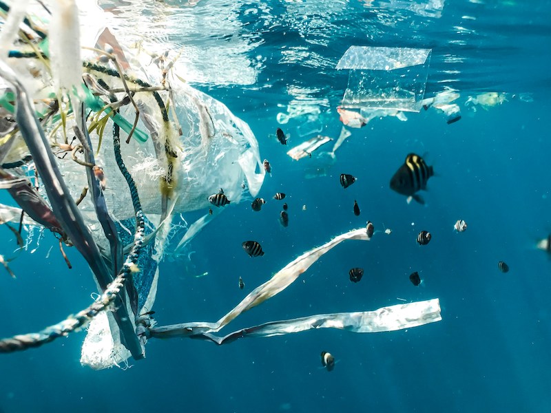 今や常識！海洋プラスチックごみ問題の現状とその影響・解決策をわかりやすく解説