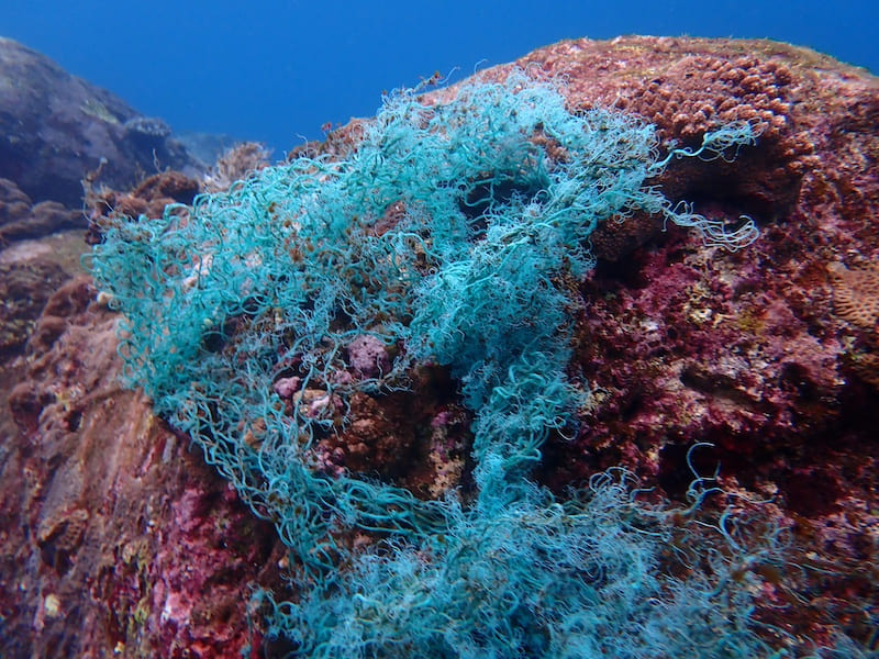 サンゴに複雑に絡まる漁網