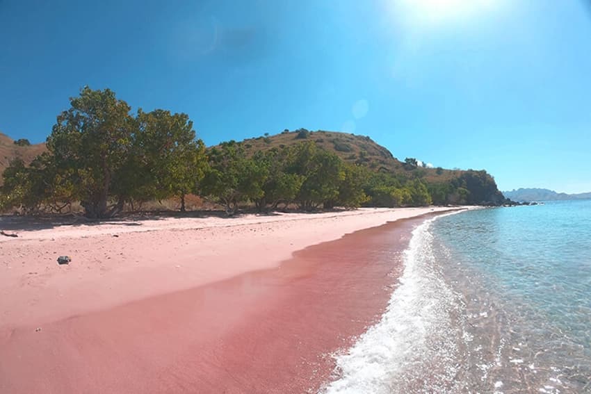 コモド島にあるピンクビーチ。赤いサンゴと白いサンゴが砕けて砂となって、ピンク色になった
