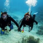 ダイビングを120%楽しむための持ち物完全ガイド