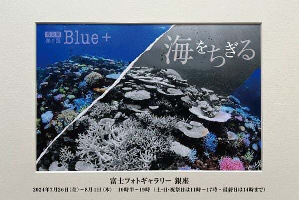 水中写真家・鍵井靖章氏と仲間たちの写真展「第9回 Blue＋写真展」7/26～8/1開催