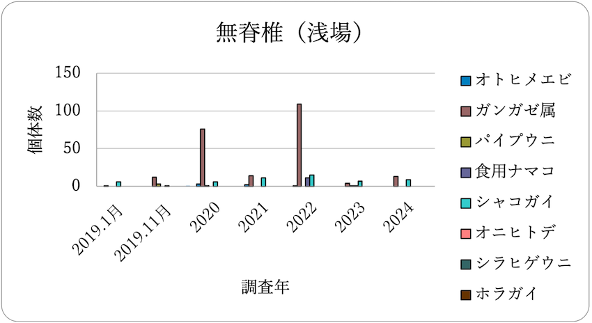 無脊椎動物調査結果（浅場）　2019年～2024年