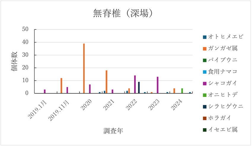 無脊椎動物調査結果（深場）　2019年～2024年