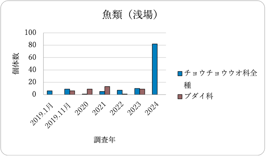 魚類調査結果（浅場）　2019年～2024年