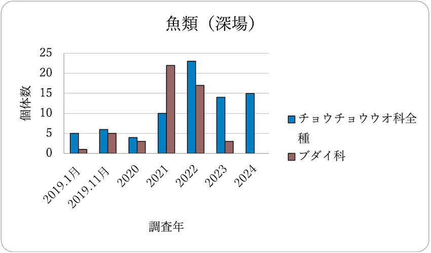 魚類調査結果（深場）　2019年～2024年