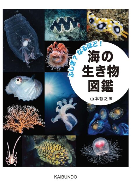 【著者インタビュー】科学的な視点で海の生き物を解説『ふしぎ？なるほど！ 海の生き物図鑑』