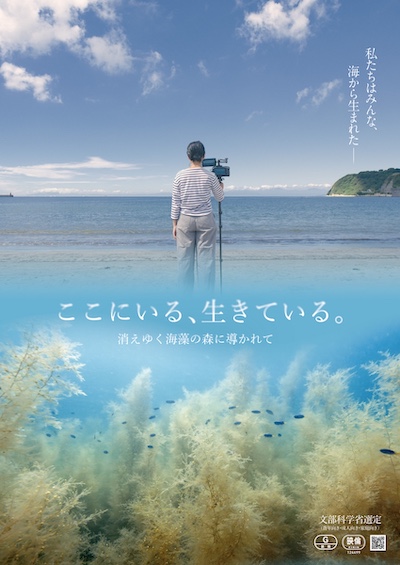 日本初、海藻ドキュメンタリー映画『ここにいる、生きている。〜消えゆく海藻の森に導かれて〜』1/10全国ロードショー