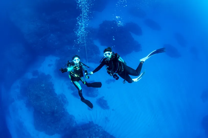 南大東島のボロジノDIVE