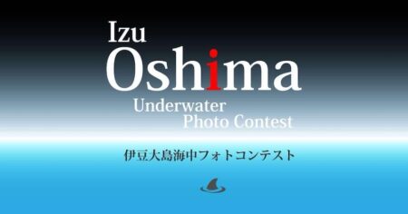 「第10回伊豆大島海中フォトコンテスト2025」募集開始！審査員は中村卓哉氏