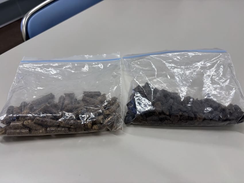 左:木質ペレット、右:Palm Kernel Shell