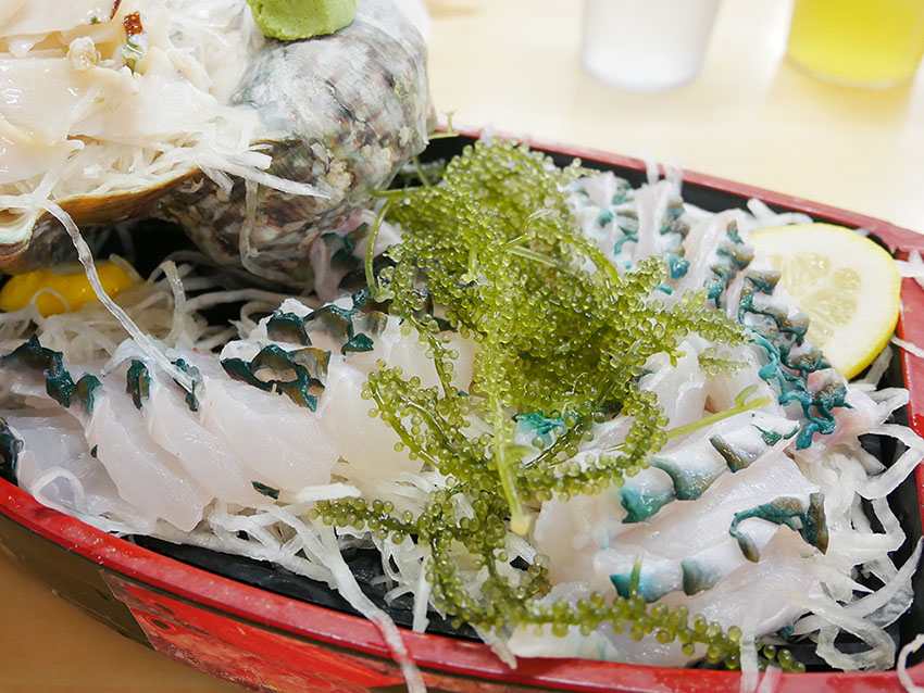 ブダイのお刺身と海ブドウ(緑藻のクビレズタ)