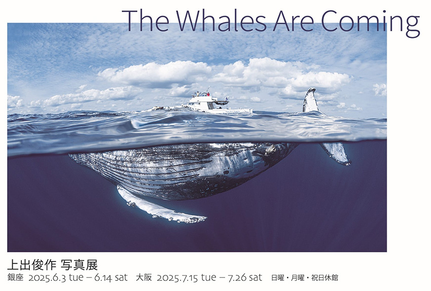 上出俊作 写真展「The Whales Are Coming」
