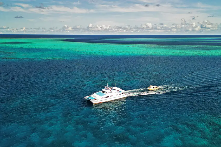 DayDream Palau 龍馬クルーズ