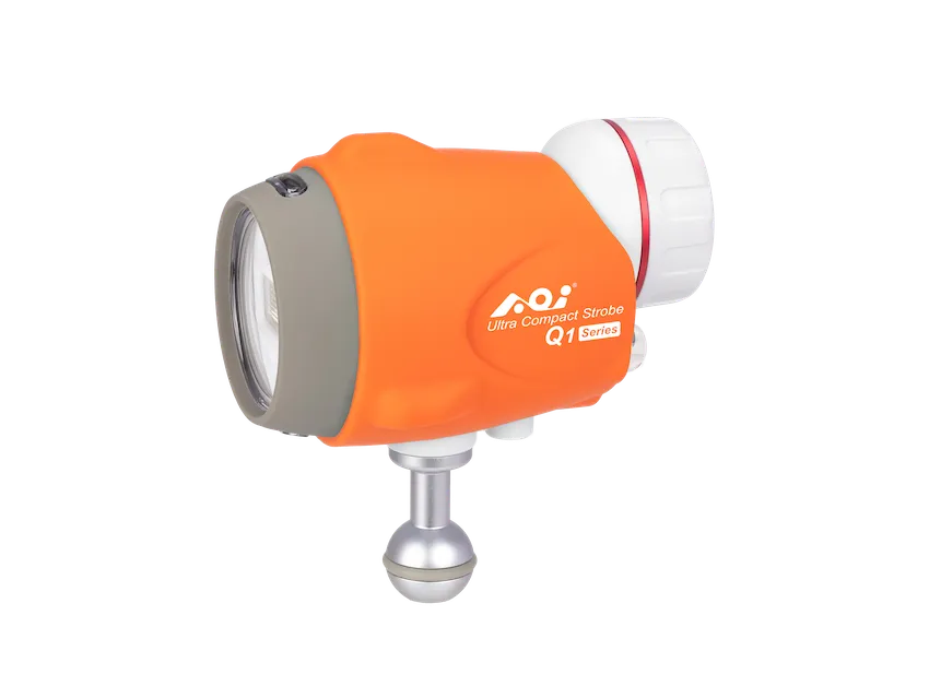 AOI PSS-Q1-01-ORG