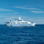 いつかは乗ってみたい憧れはパラオの龍馬クルーズ：パラオを極めるならダイブクルーズ一択！龍馬Ⅰ号で巡る大物三昧ダイビング【2025年最新】より