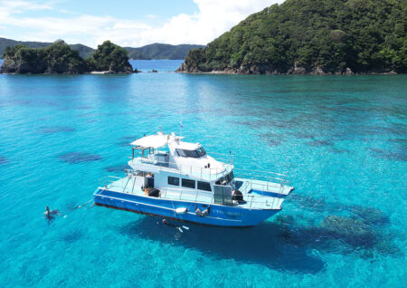奄美大島で見つけた「人生の本気」　IT企業取締役が選んだ新しい挑戦