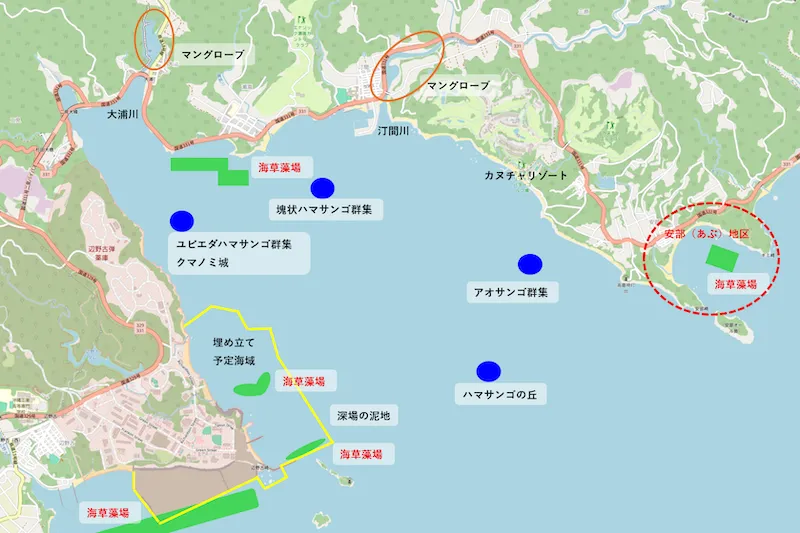 大浦湾マップ 参考:「辺野古・大浦湾 アオサンゴの海 生物多様性が豊かな理由わけ」(日本自然保護協会・WWFジャパン・国士舘大学地理学研究室・沖縄リーフチェック研究会・じゅごんの里・ダイビングチームすなっくスナフキン)