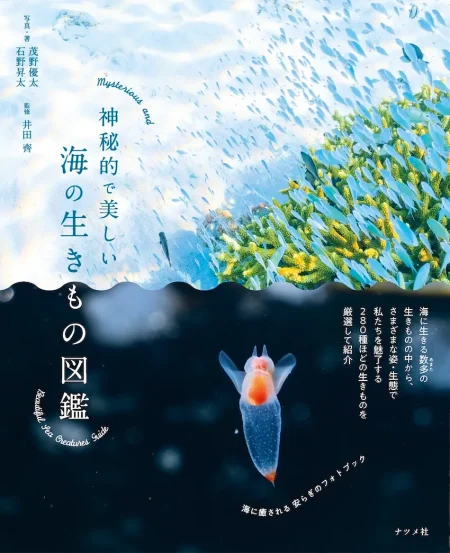 【プレゼントあり】『神秘的で美しい海の生きもの図鑑』茂野氏＆石野氏に インタビュー