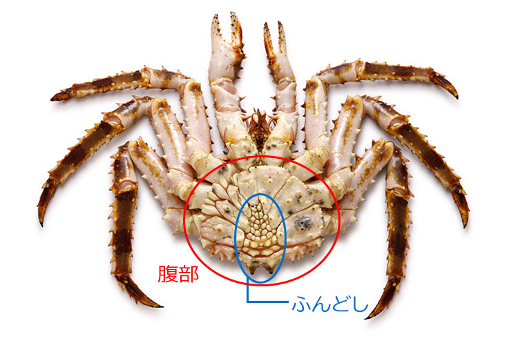 カニのふんどし