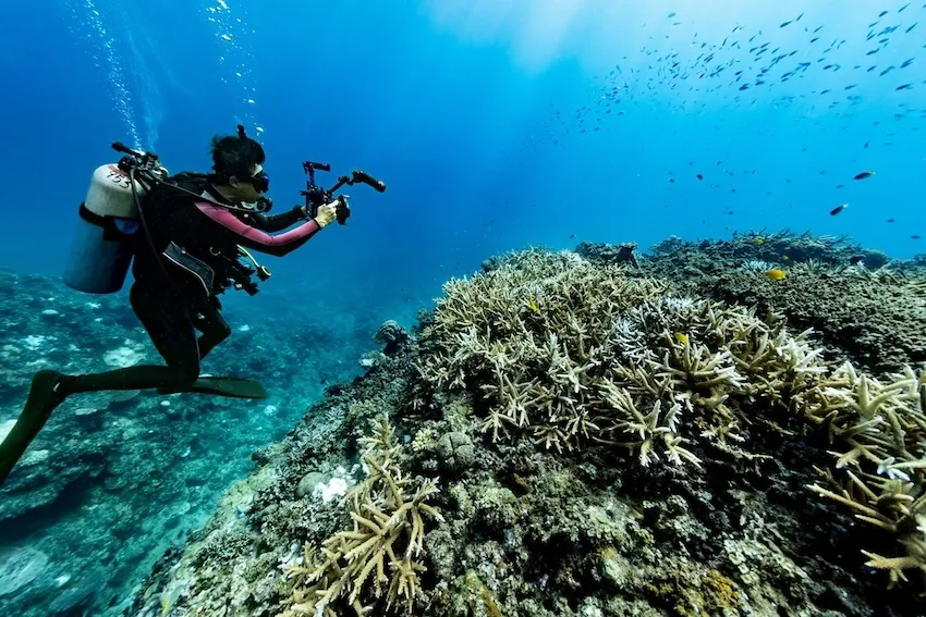大浦湾でサンゴを撮影する筆者(2024年12月3日  撮影:草地ゆき)