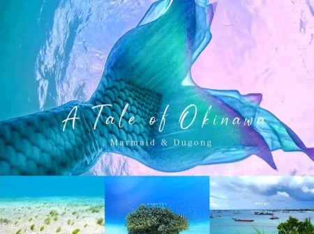 マーメイドが伝えたい、ジュゴンと沖縄の海のこと